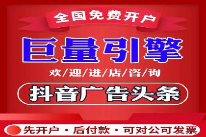 竞价广告在XX行业的成功应用案例